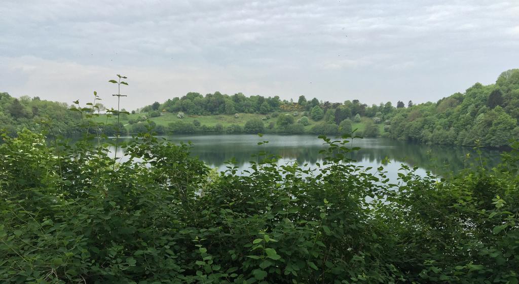 شقة شالكينميهرين  في Fewo-Eifel-Mediterran الغرفة الصورة